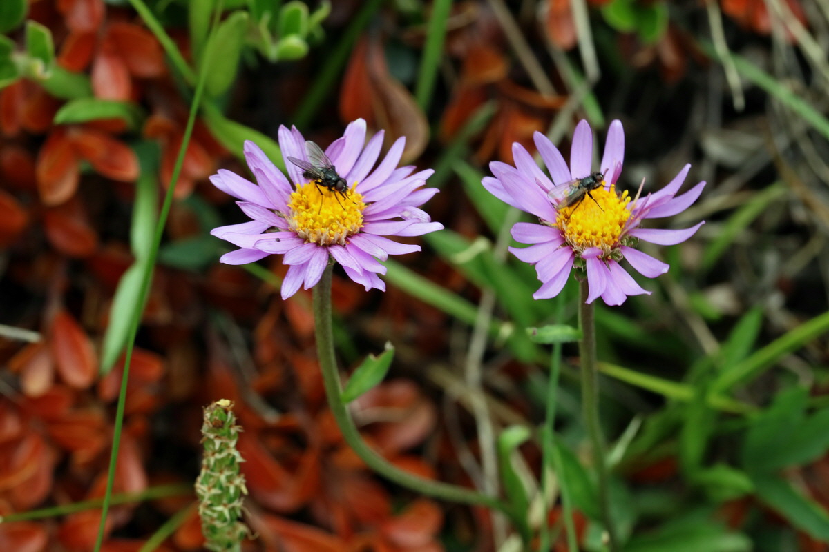 2017_07_07_038537p_Bildgr��e �ndern