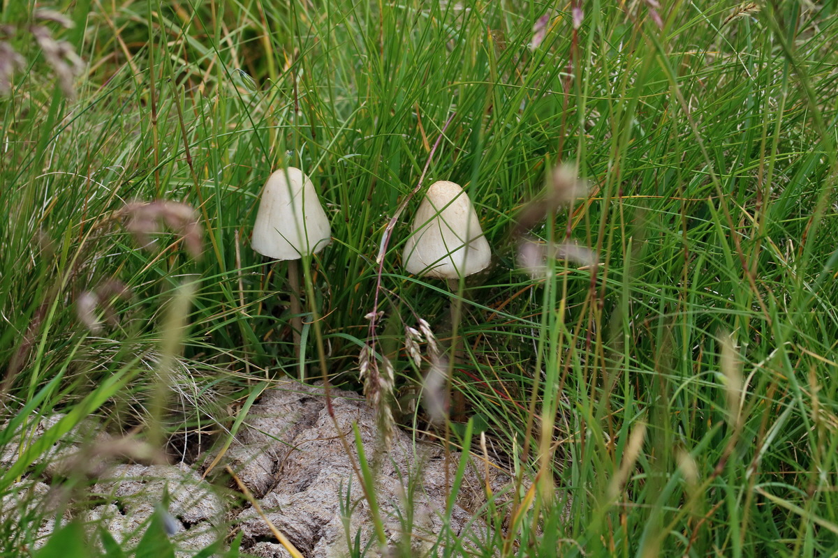 2017_07_07_038550p_Bildgr��e �ndern