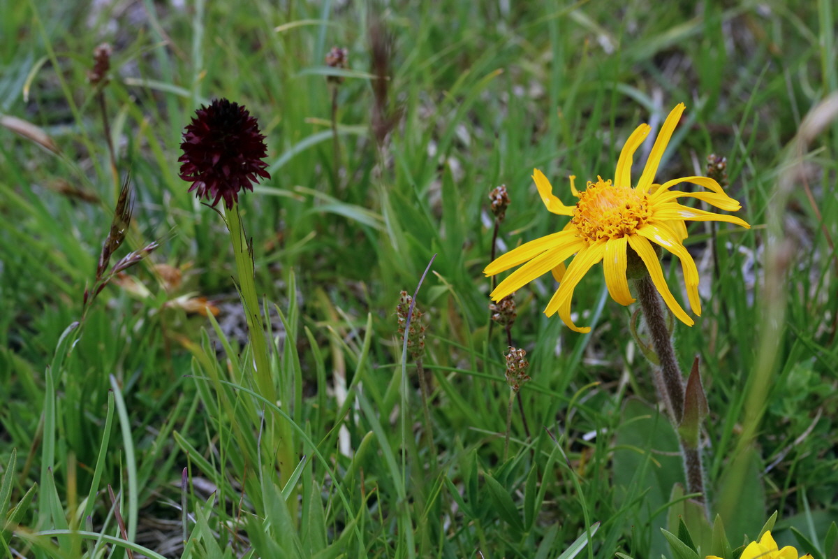 2017_07_07_038553p_Bildgr��e �ndern