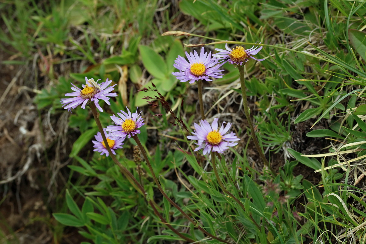 2017_07_07_038556p_Bildgr��e �ndern