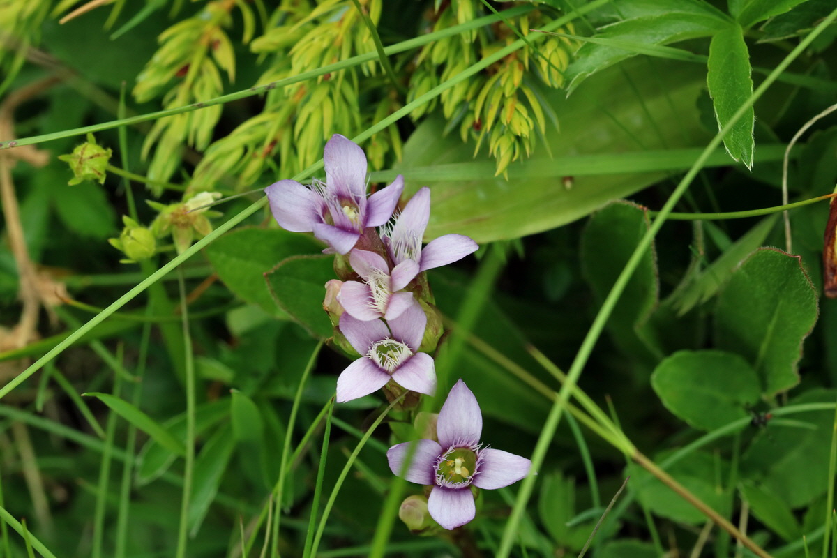 2017_07_07_038562p_Bildgr��e �ndern