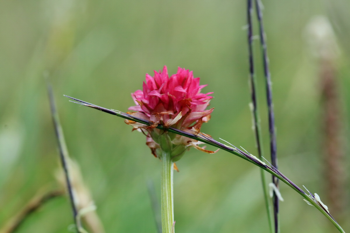 2017_07_07_038567p_Bildgr��e �ndern