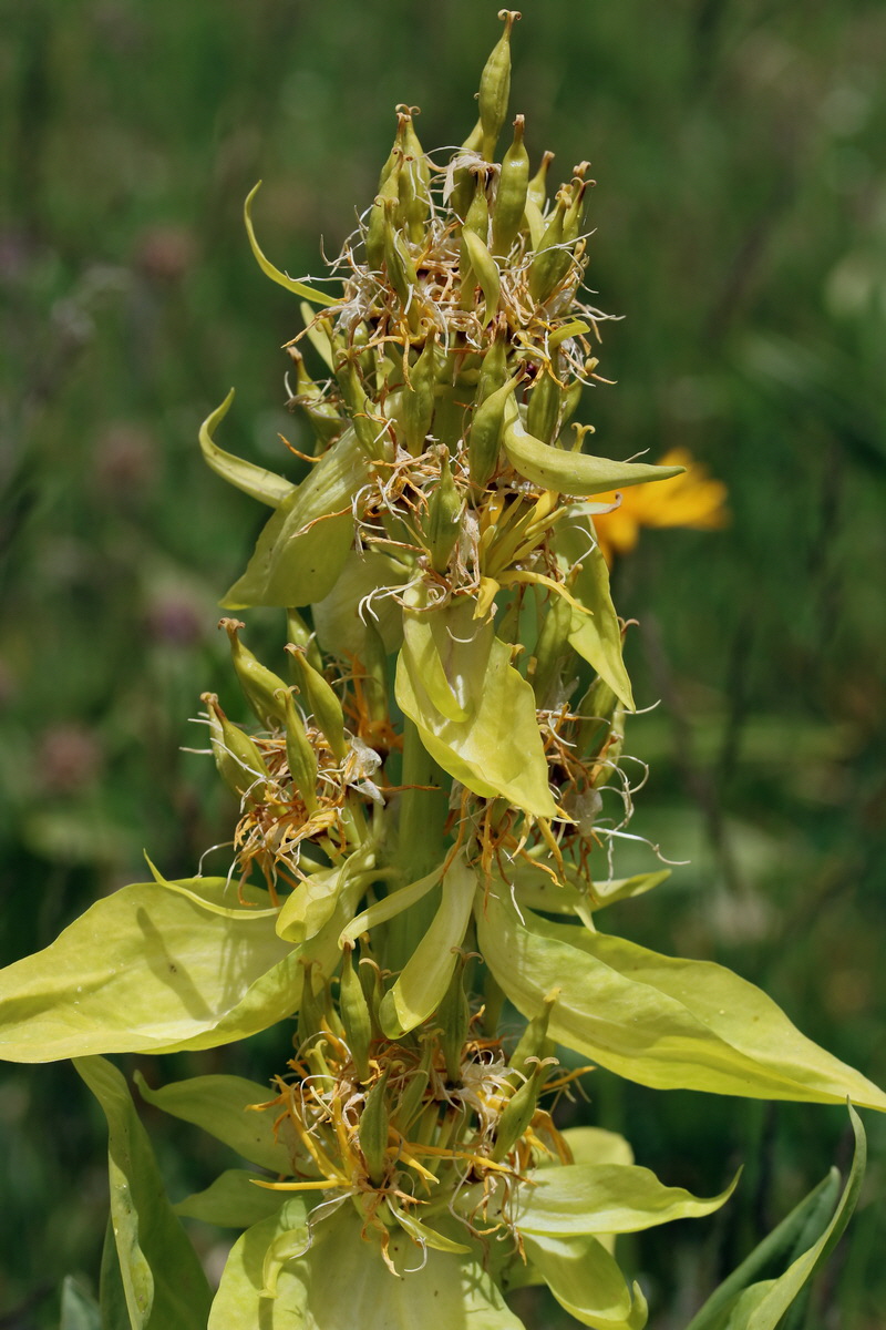 2017_07_07_038590p_Bildgr��e �ndern