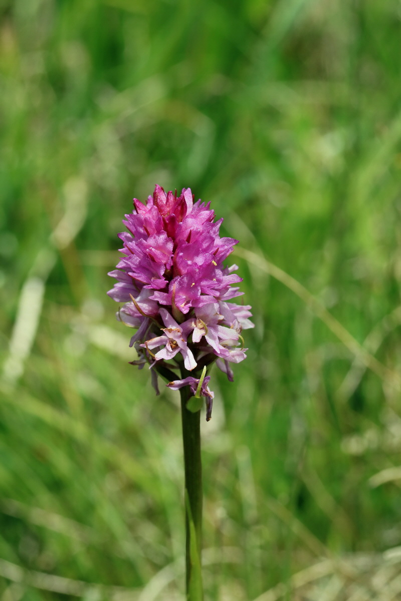 2017_07_07_038599p_Bildgr��e �ndern