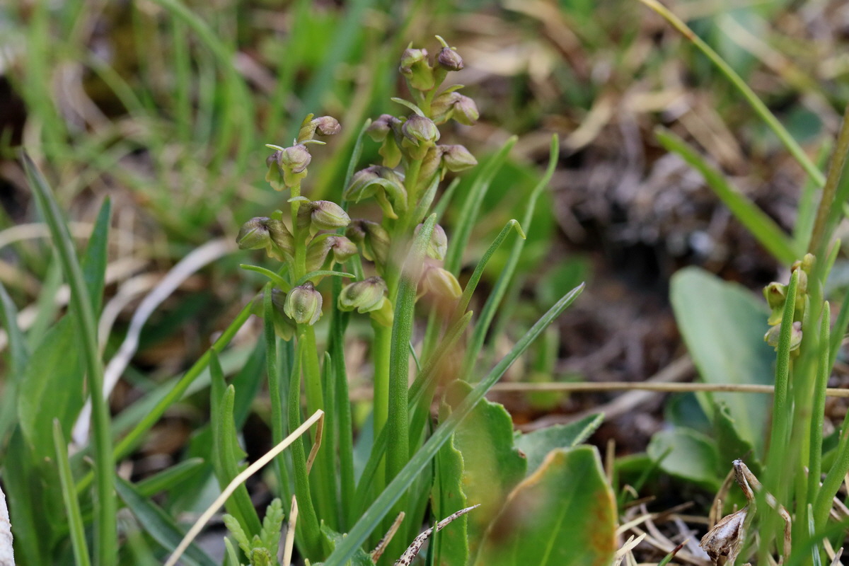 2017_07_07_038606p_Bildgr��e �ndern