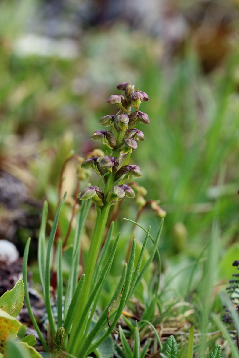 2017_07_07_038610p_Bildgr��e �ndern