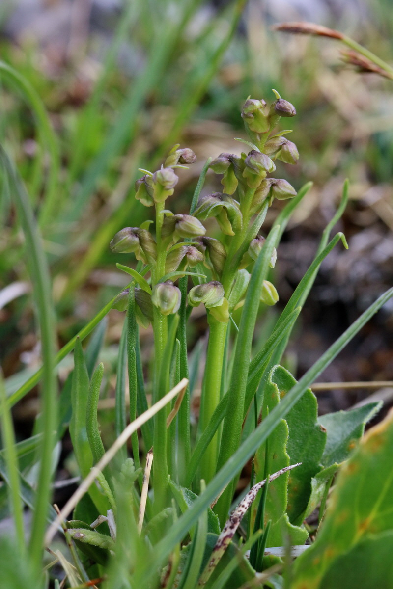 2017_07_07_038614p_Bildgr��e �ndern