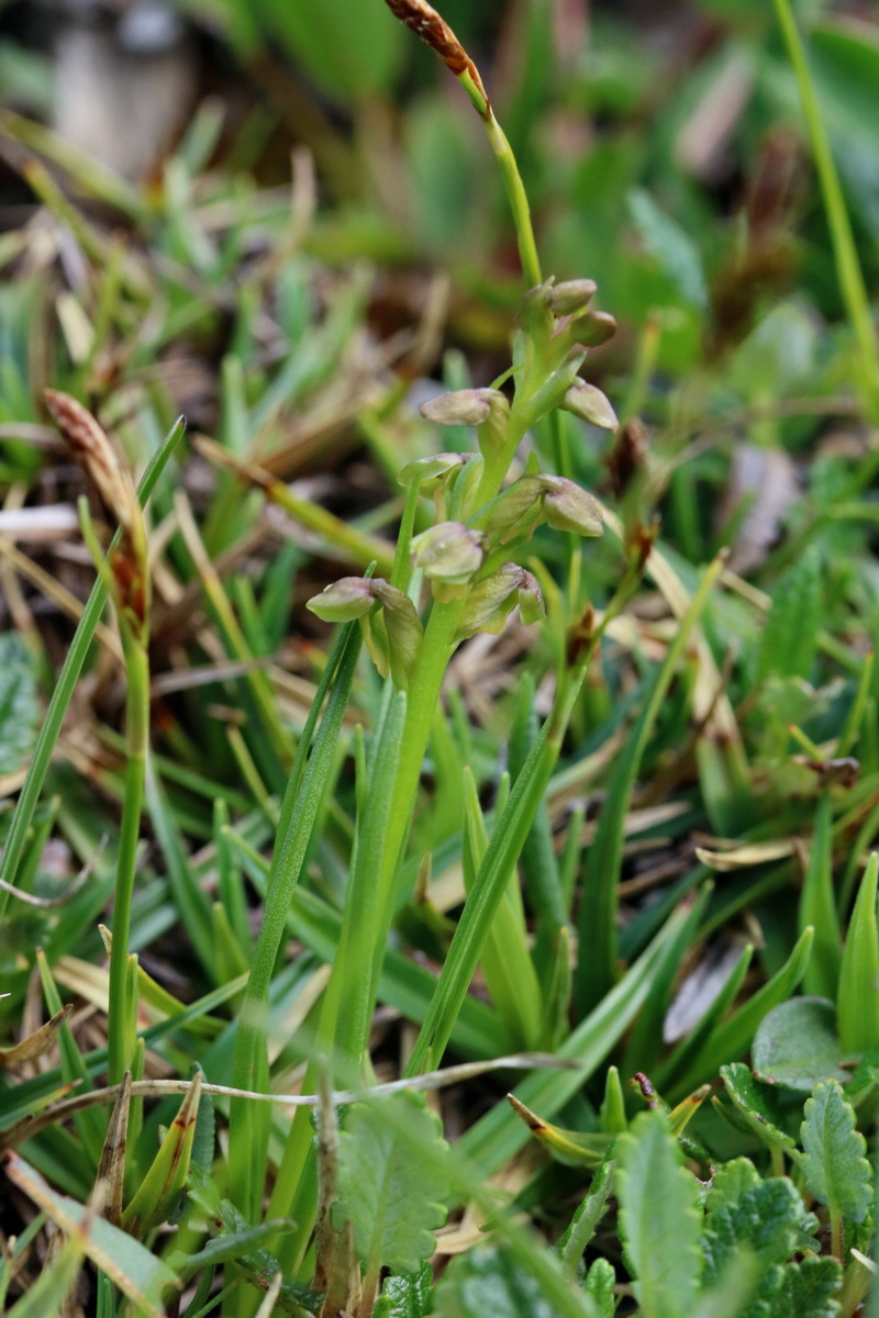 2017_07_07_038620p_Bildgr��e �ndern