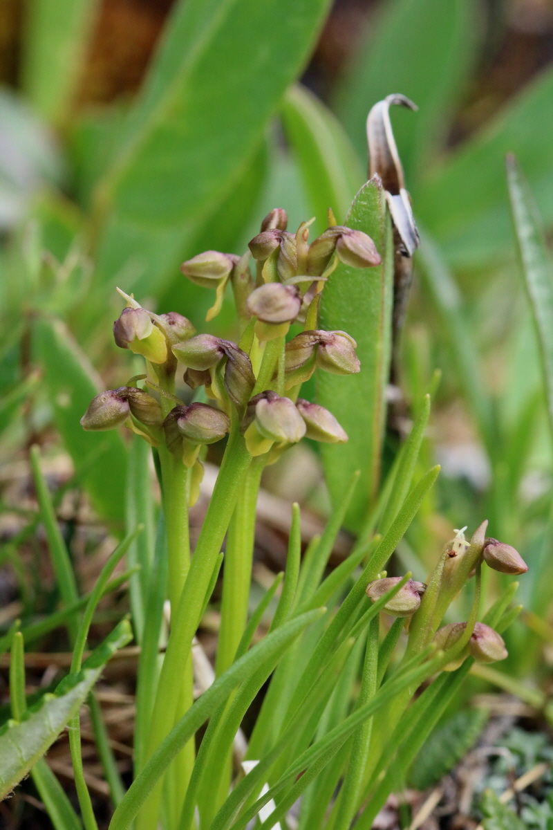 2017_07_07_038623p_Bildgr��e �ndern