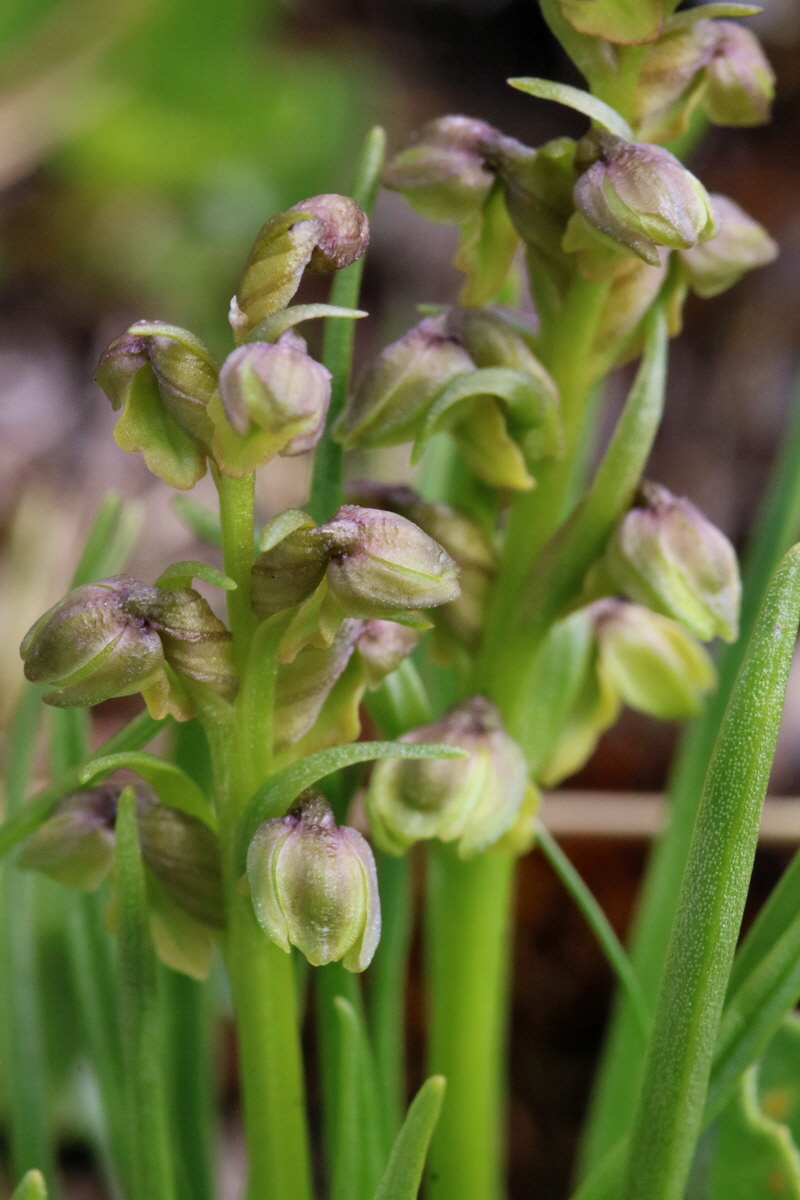 2017_07_07_038628p_Bildgr��e �ndern