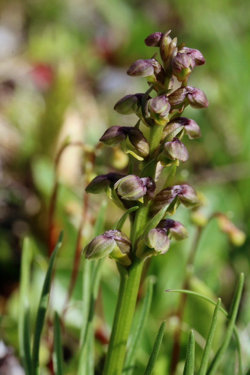 2017_07_07_038636p_Bildgr��e �ndern