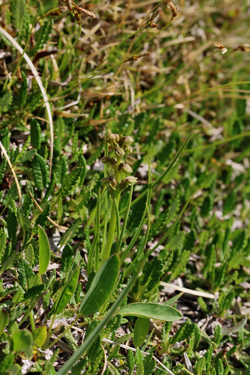 2017_07_07_038666p_Bildgr��e �ndern