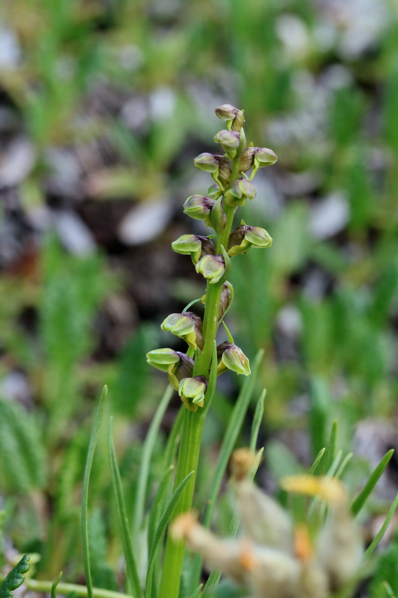 2017_07_07_038670p_Bildgr��e �ndern