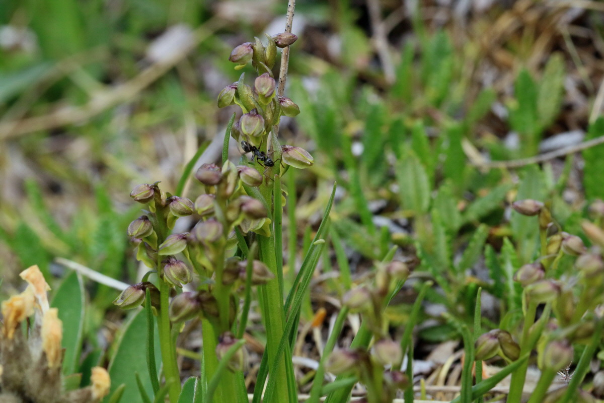 2017_07_07_038677p_Bildgr��e �ndern