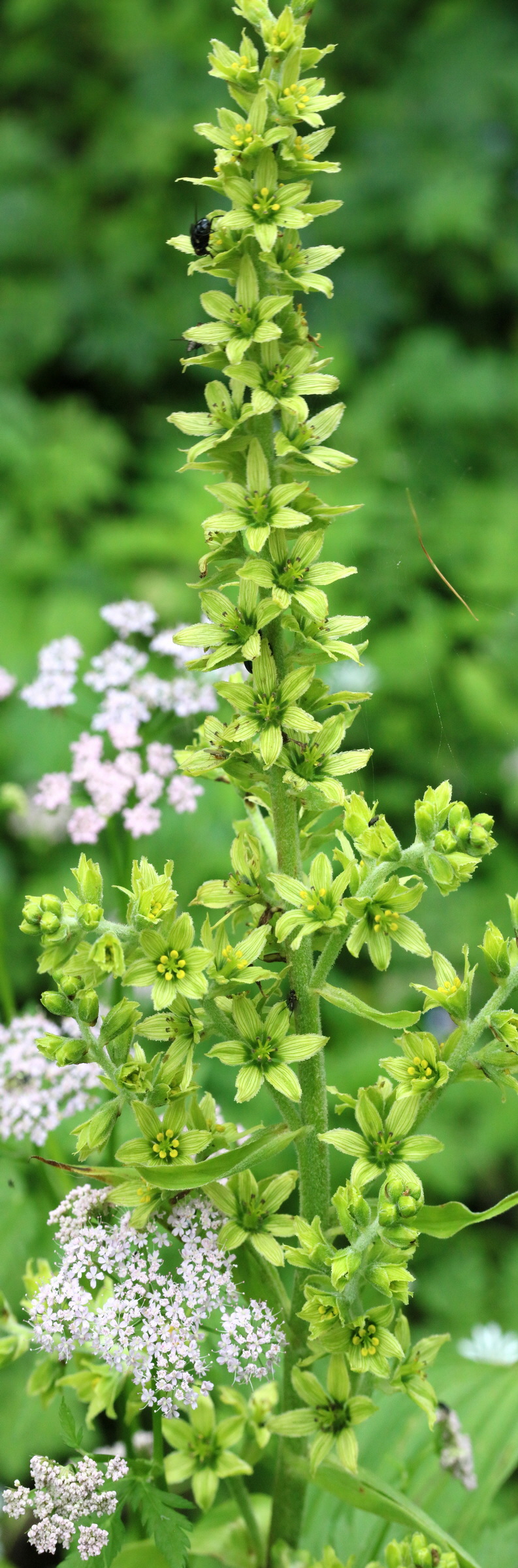 [Group 4]-2017_07_08_038894_2017_07_08_038899-6 images_Bildgr��e �ndern