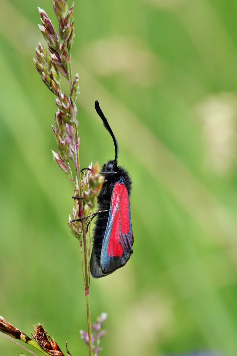 2017_07_08_038711p_Bildgr��e �ndern