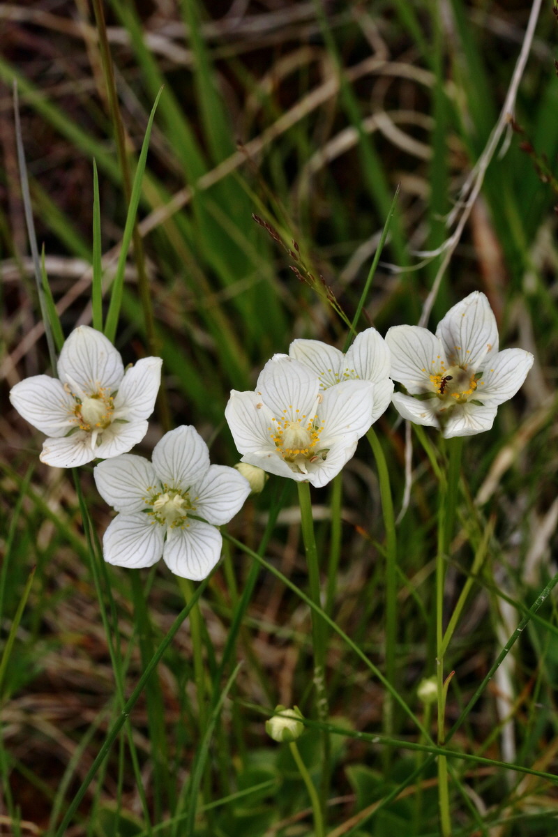 2017_07_08_038739p_Bildgr��e �ndern