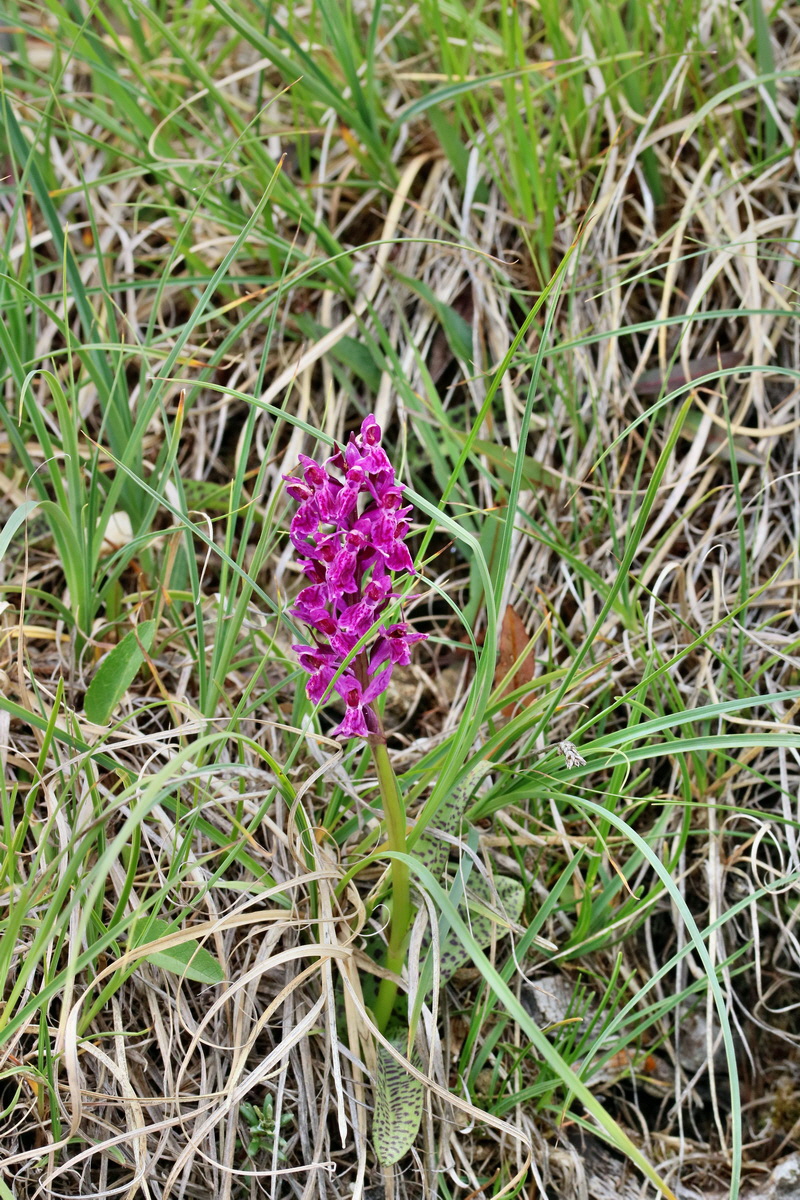 2017_07_08_038747p_Bildgr��e �ndern