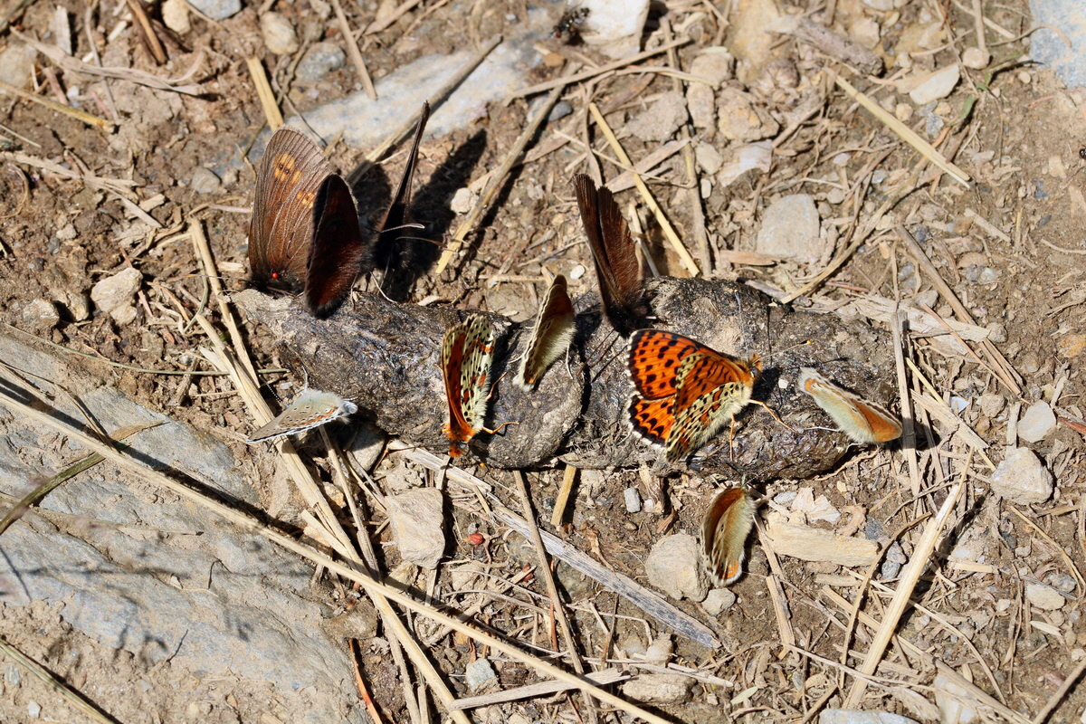 2017_07_08_038767p_Bildgr��e �ndern