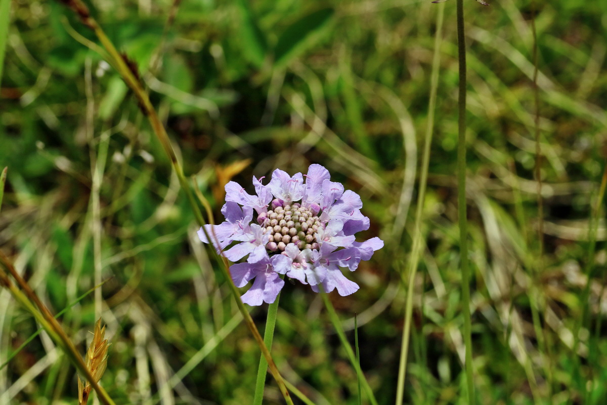 2017_07_08_038809p_Bildgr��e �ndern