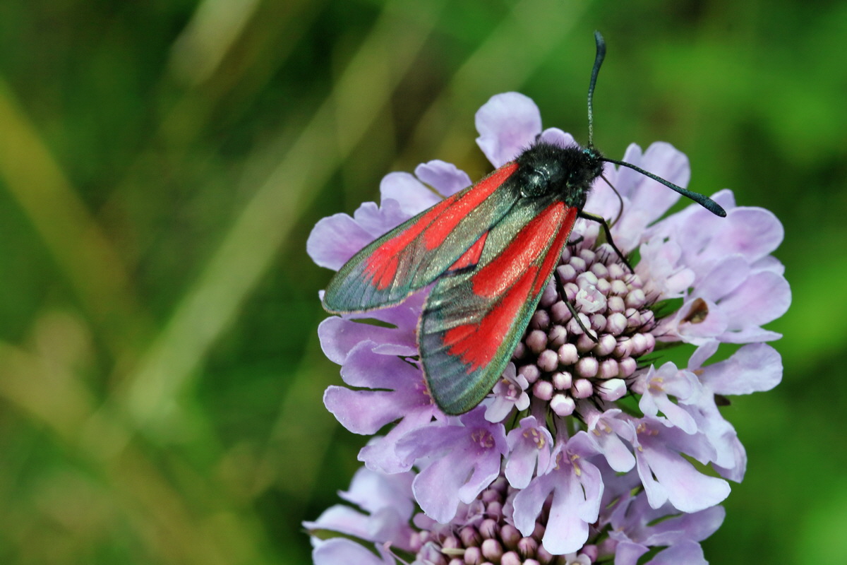 2017_07_08_038858p_Bildgr��e �ndern