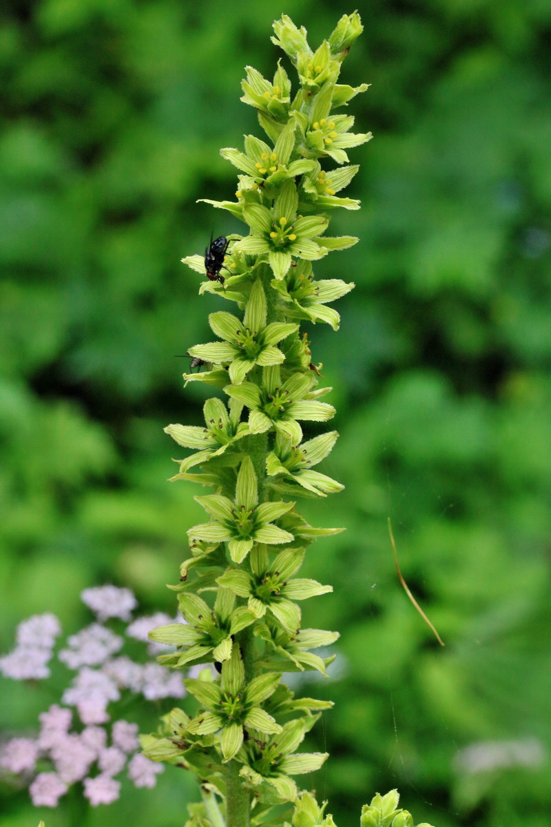 2017_07_08_038895p_Bildgr��e �ndern