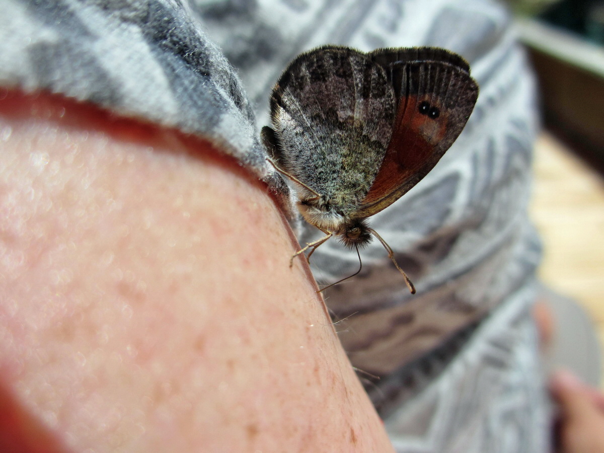 IMG_0723p_Bildgr��e �ndern