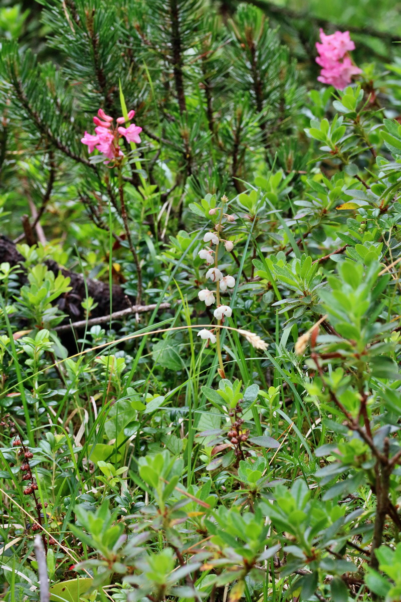 2017_07_09_038901p_Bildgr��e �ndern