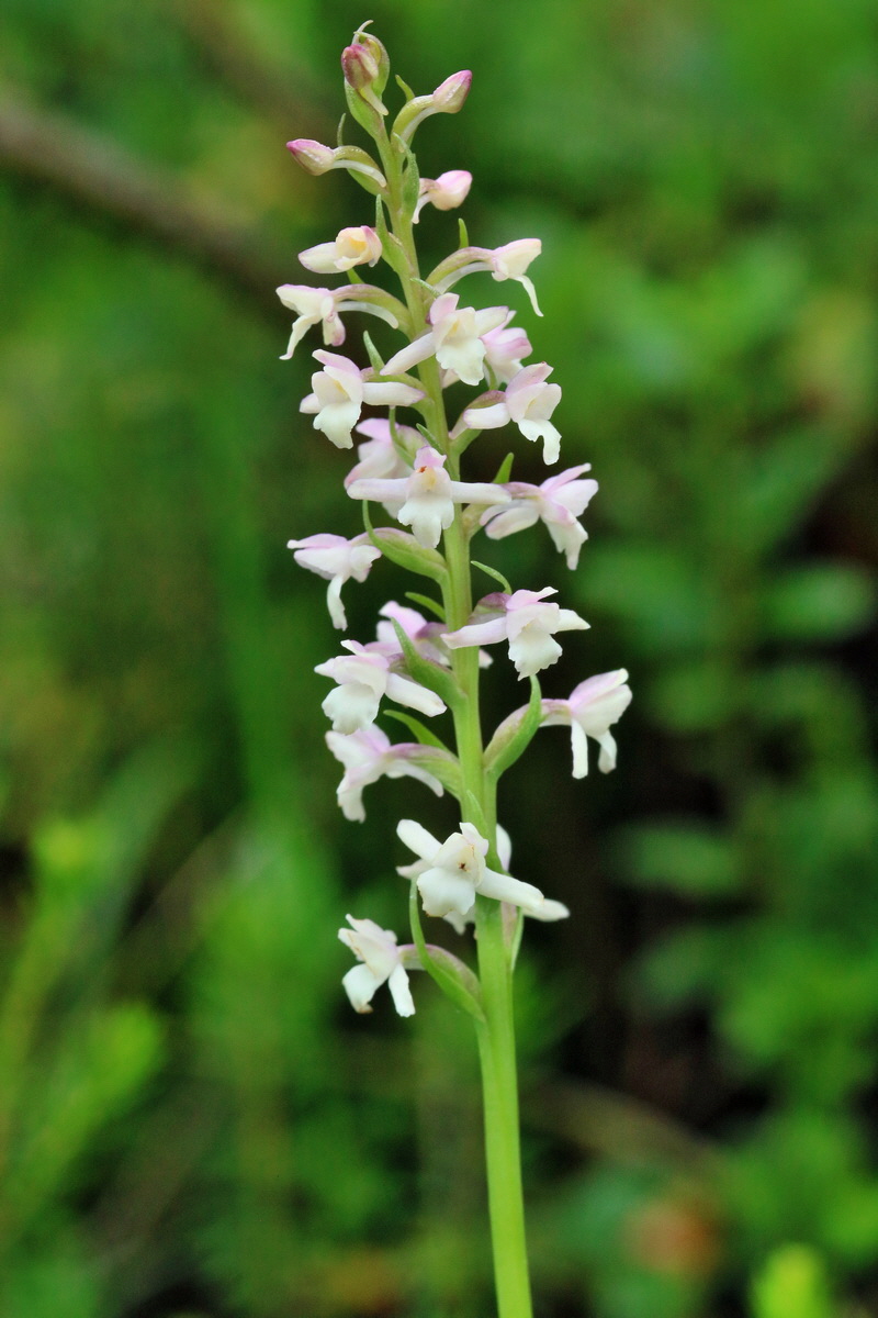 2017_07_09_038904p_Bildgr��e �ndern