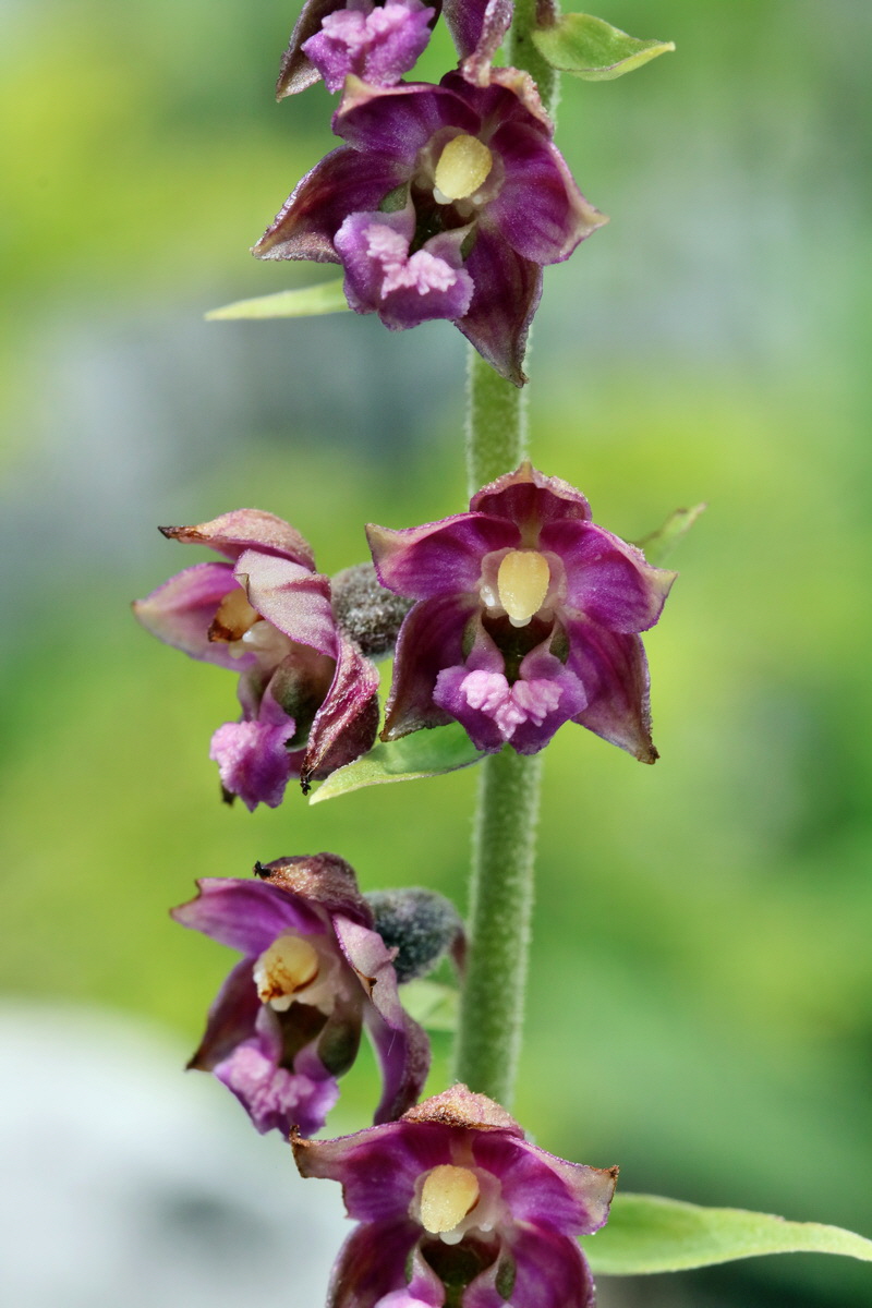 2017_07_09_038908p_Bildgr��e �ndern