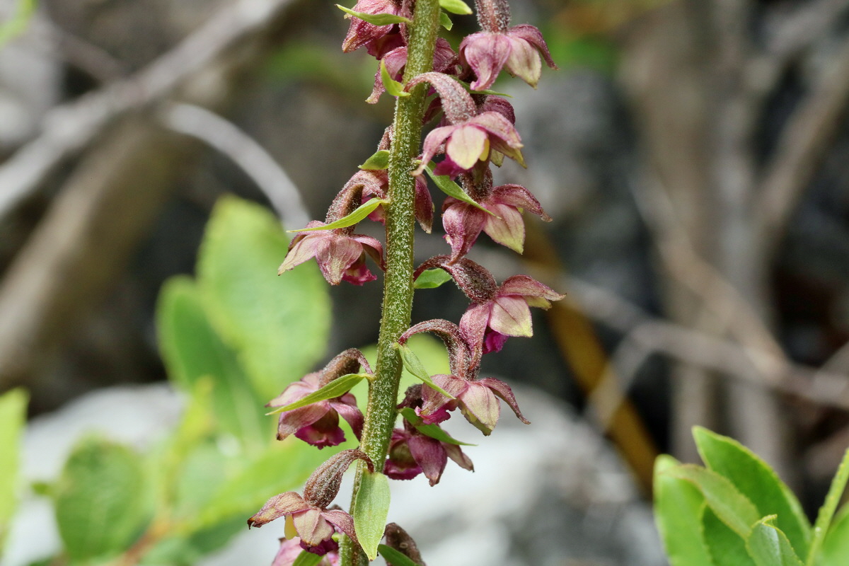 2017_07_09_038919p_Bildgr��e �ndern