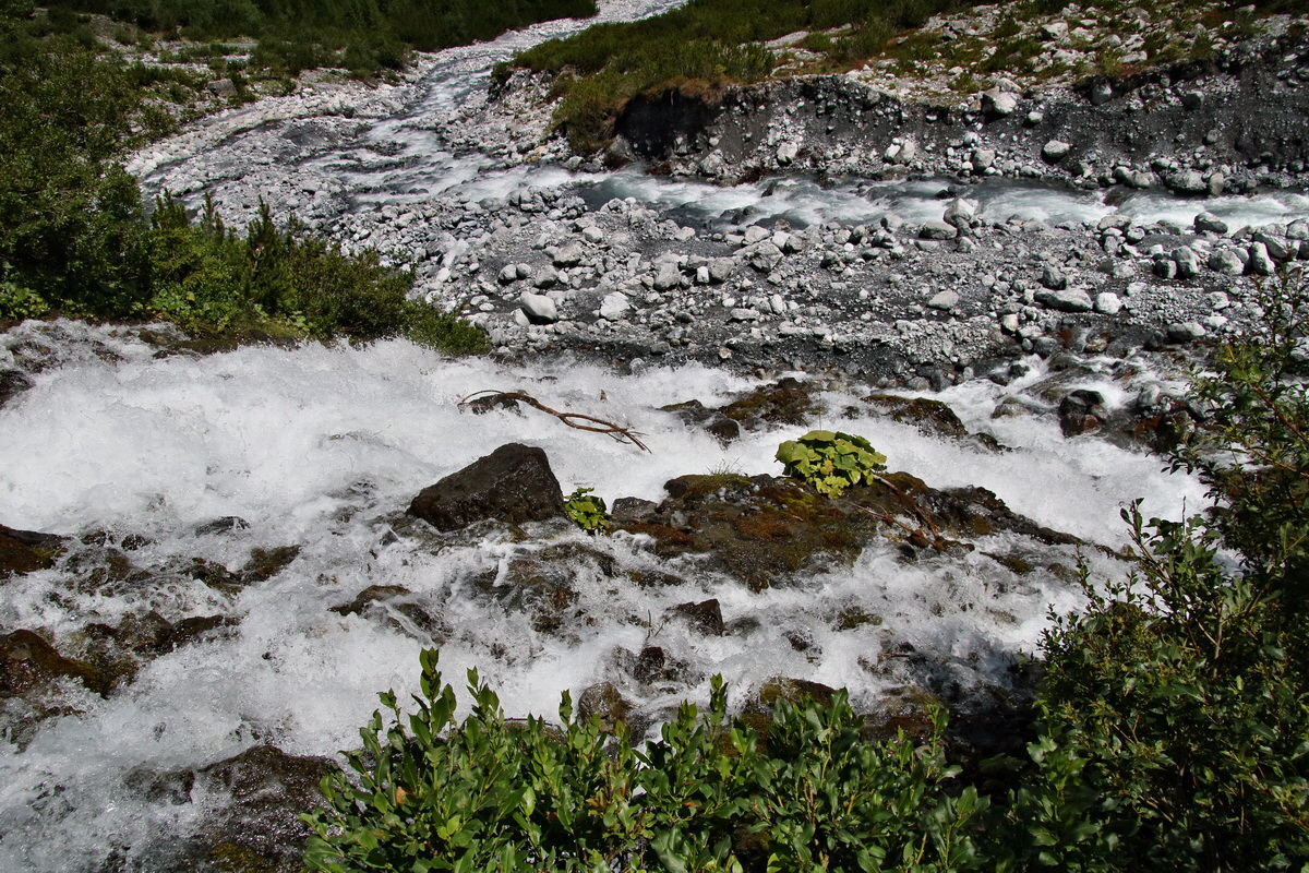 2017_07_09_039005p_Bildgr��e �ndern