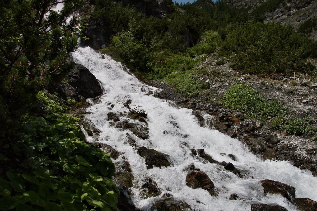 2017_07_09_039023p_Bildgr��e �ndern