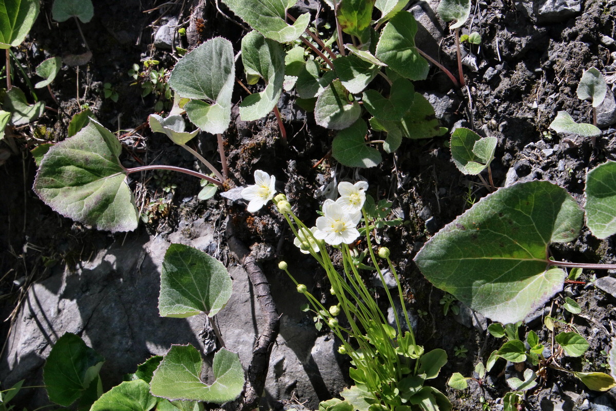 2017_07_09_039056p_Bildgr��e �ndern