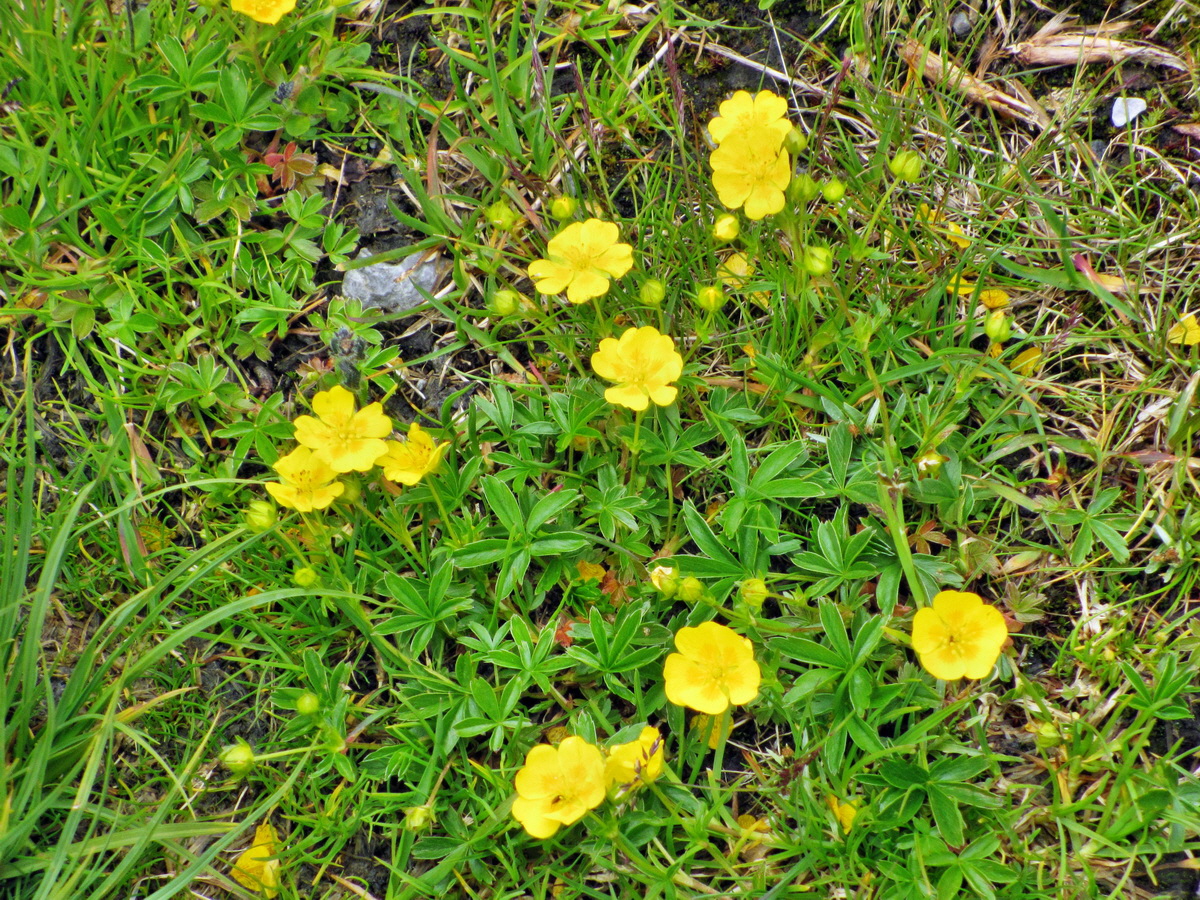 IMG_0816p_Bildgr��e �ndern