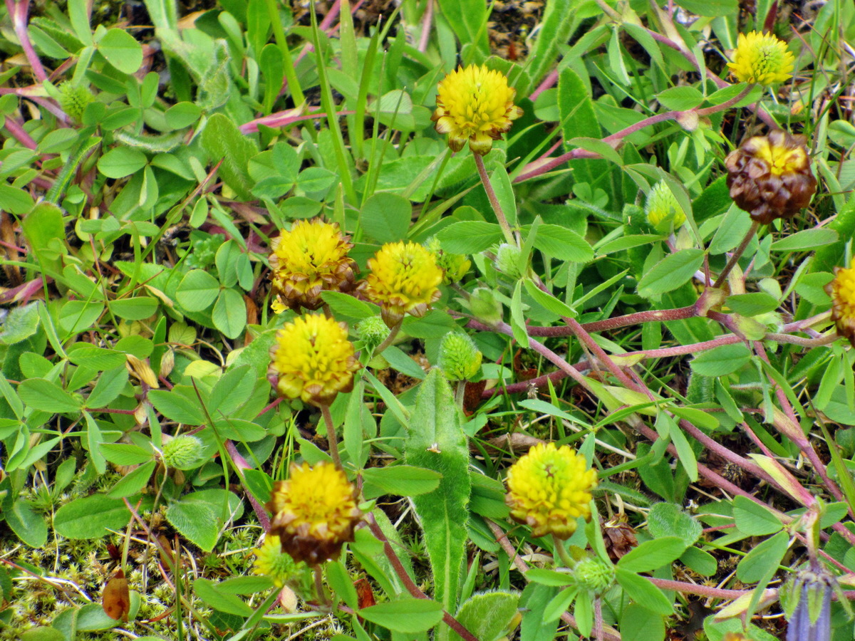 IMG_0820p_Bildgr��e �ndern