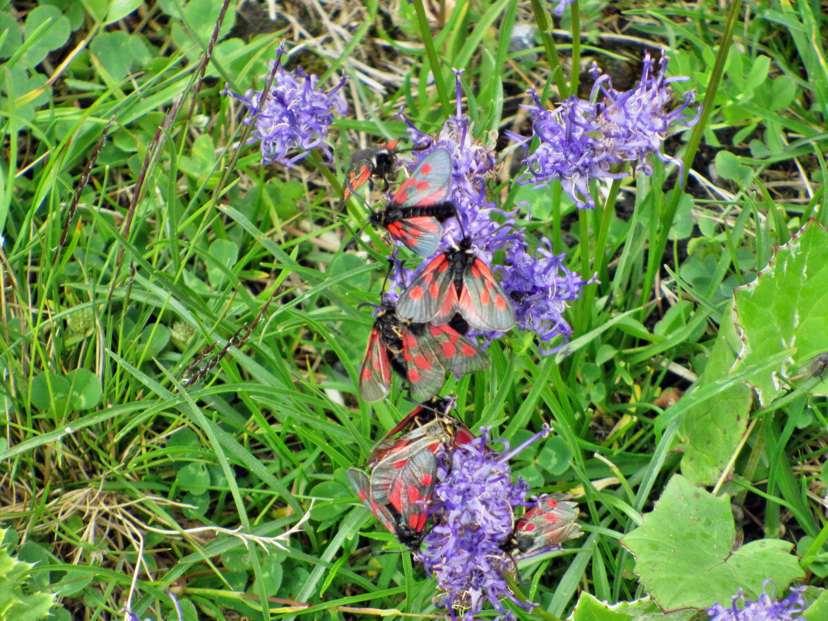 IMG_0832p_Bildgr��e �ndern