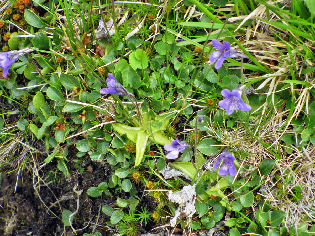 IMG_0844p_Bildgr��e �ndern