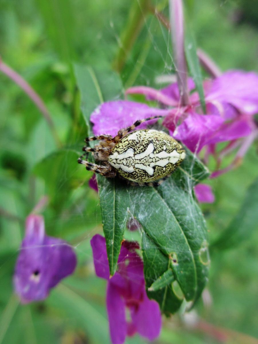 IMG_0865p_Bildgr��e �ndern