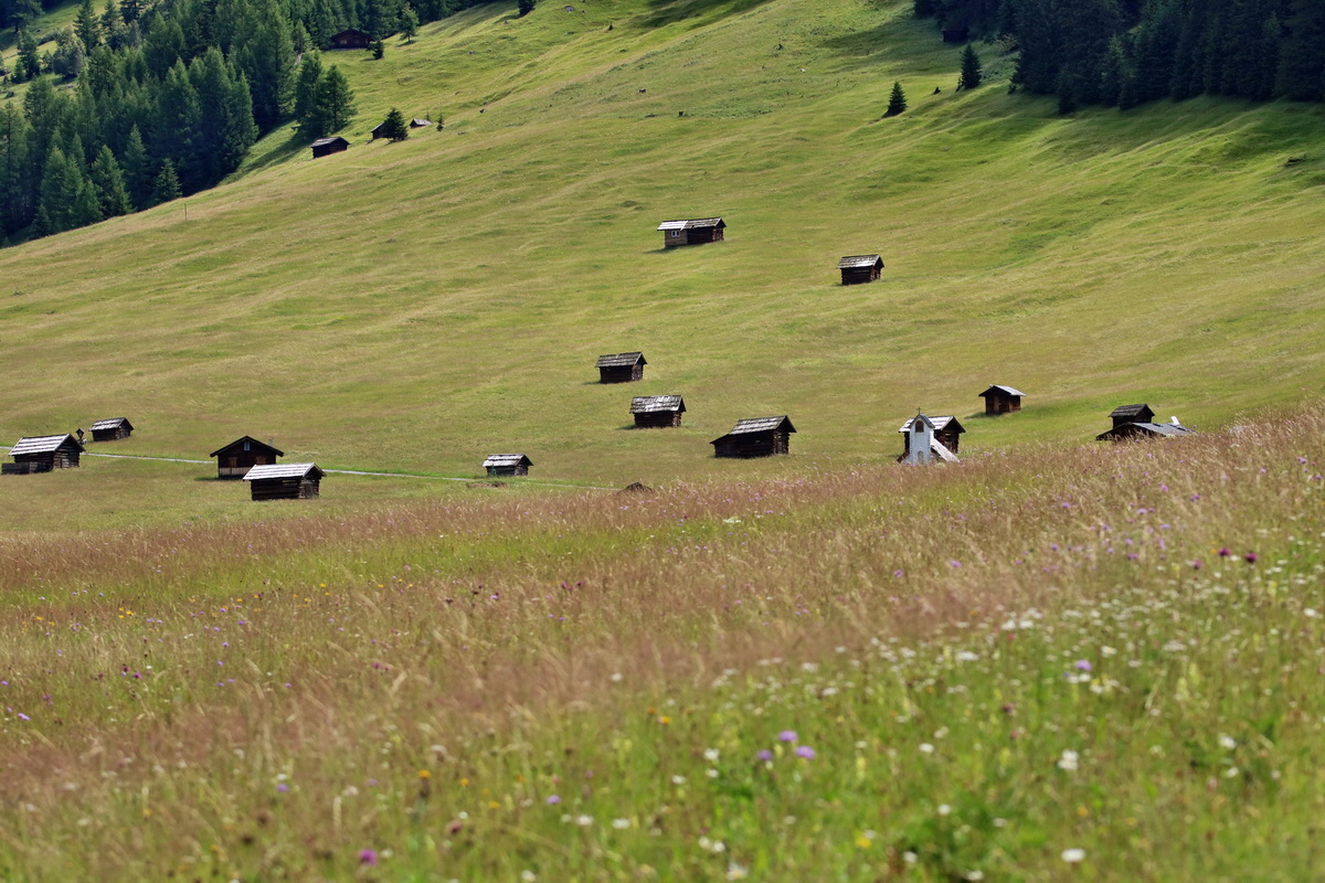 2017_07_11_039107p_Bildgr��e �ndern