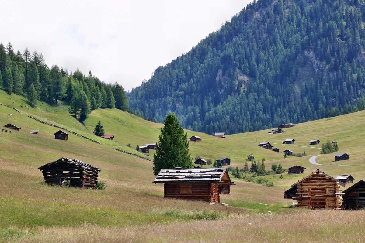 2017_07_11_039109p_Bildgr��e �ndern