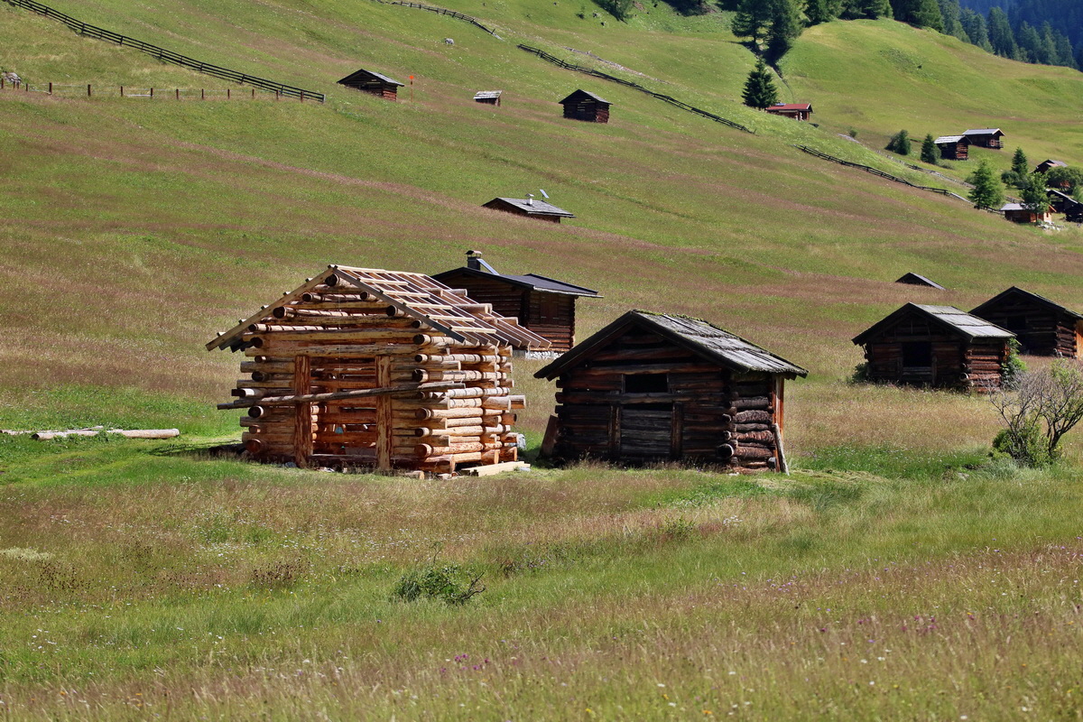 2017_07_11_039114p_Bildgr��e �ndern