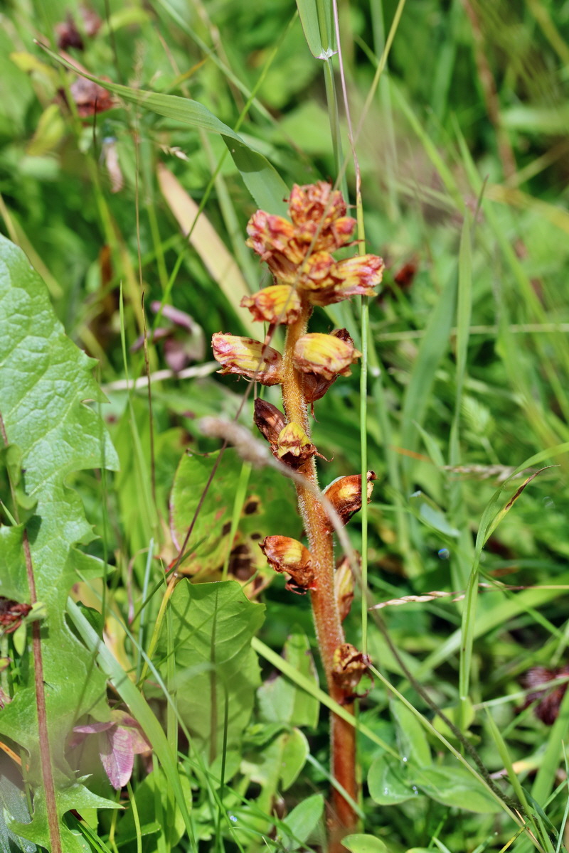 2017_07_11_039141p_Bildgr��e �ndern