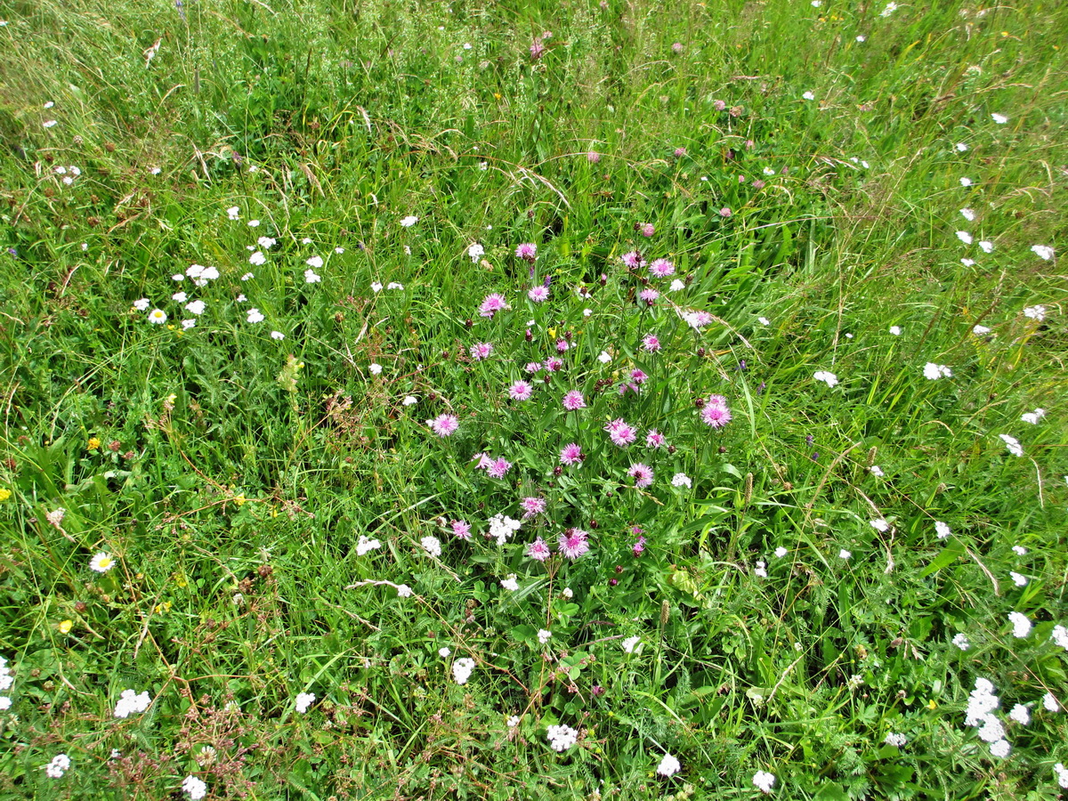 IMG_0901p_Bildgr��e �ndern