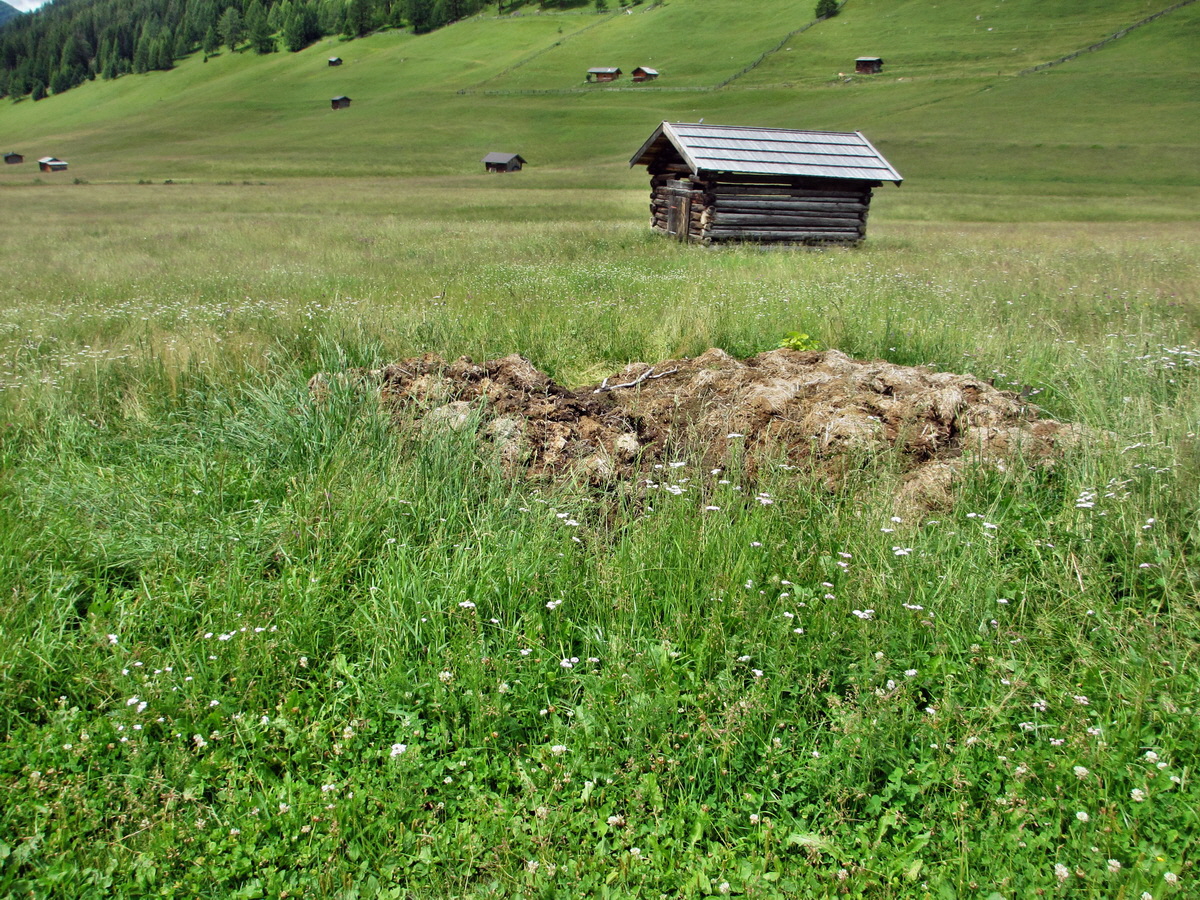 IMG_0902p_Bildgr��e �ndern