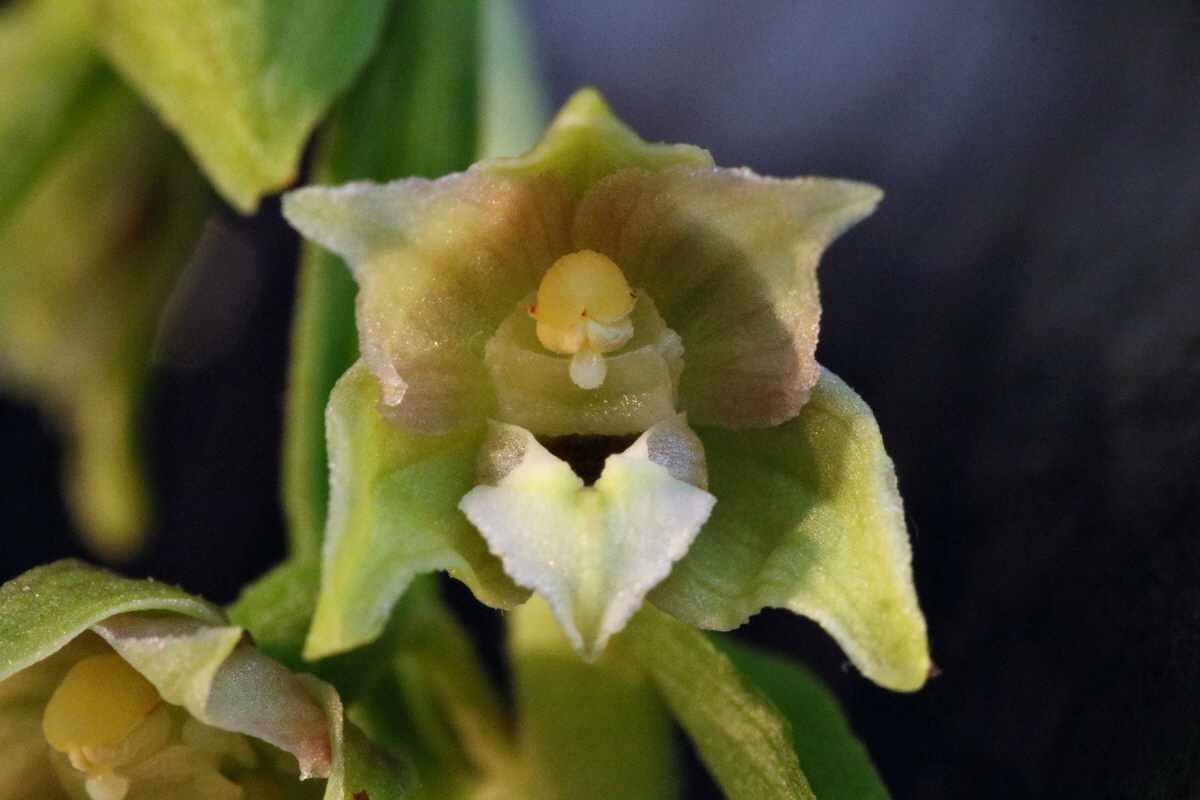 2017_07_12_039232p_Bildgr��e �ndern