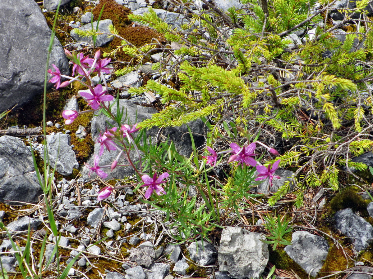 IMG_0939p_Bildgr��e �ndern