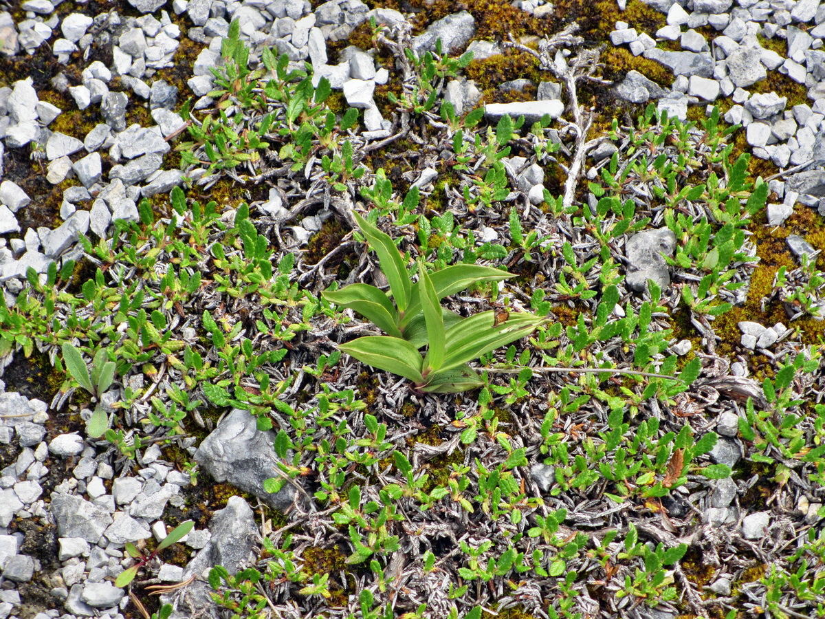 IMG_0962p_Bildgr��e �ndern