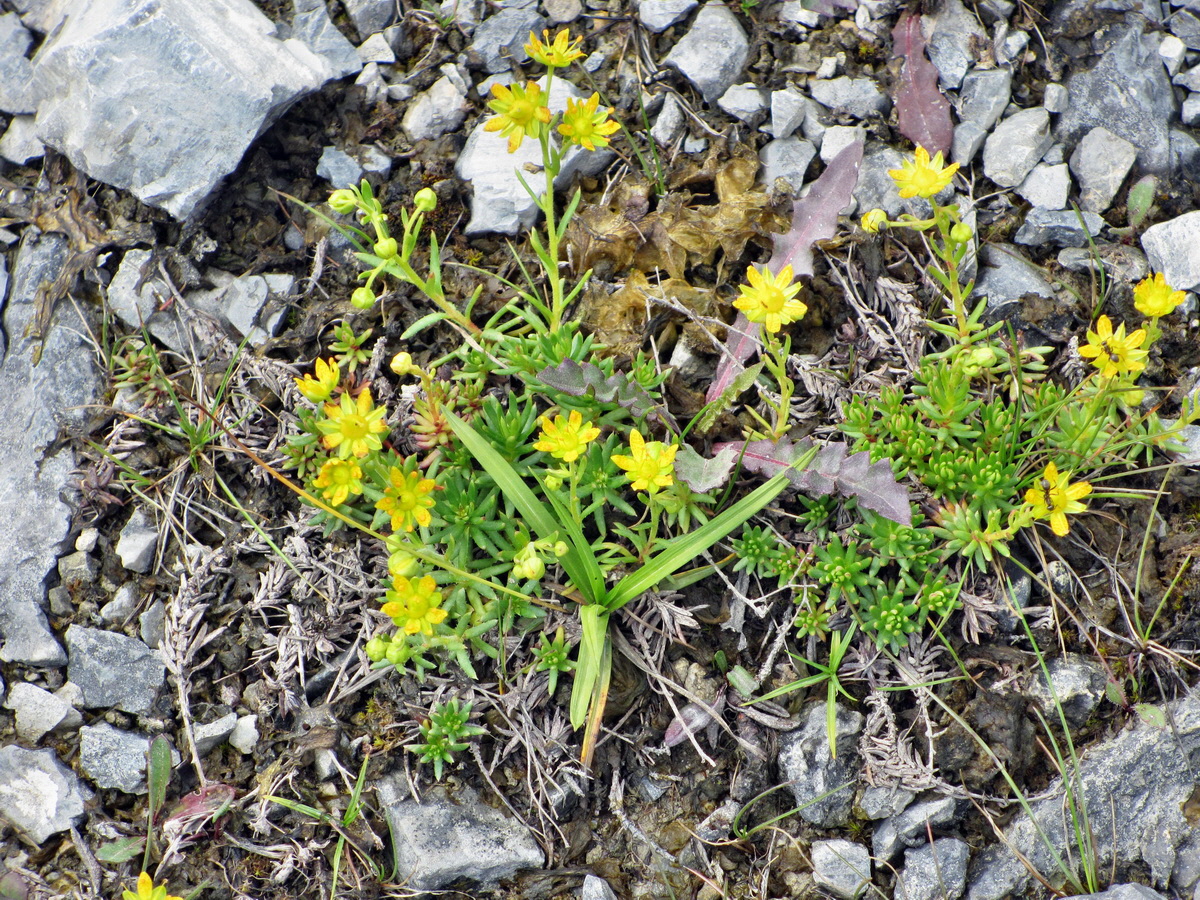 IMG_0964p_Bildgr��e �ndern