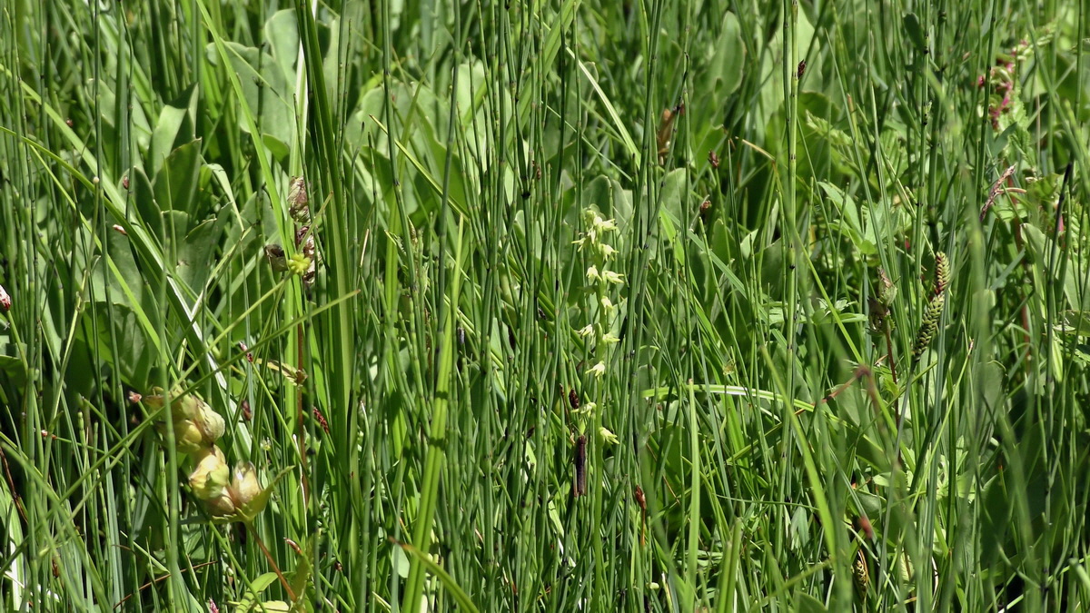 06-26-2017_141846p_Bildgr��e �ndern